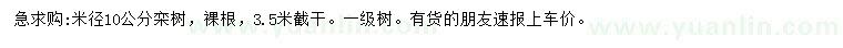 求購米徑10公分欒樹