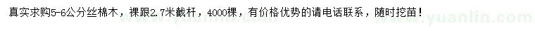 求購5-6公分絲棉木