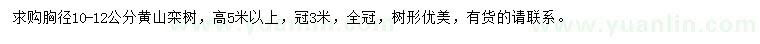 求購(gòu)胸徑10-12公分黃山欒樹(shù)