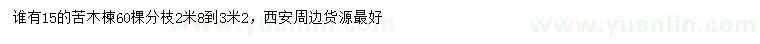 求購15公分苦木楝