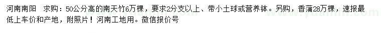 求購高50公分南天竹、香蒲