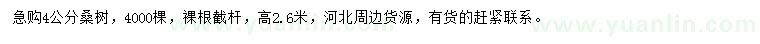 求購4公分桑樹