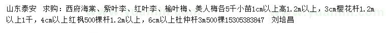 求購西府海棠、紫葉李、紅葉李等