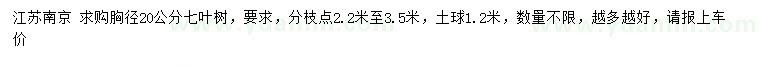 求購胸徑20公分七葉樹