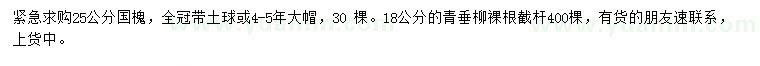 求購(gòu)25公分國(guó)槐、18公分青垂柳