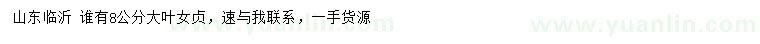 求購8公分大葉女貞