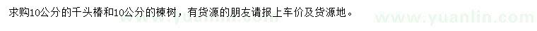 求購10公分千頭椿、楝樹