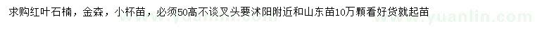 求購(gòu)高50公分紅葉石楠、金森