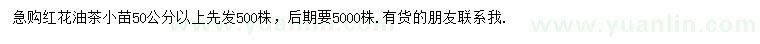 求購50公分以上紅花油茶小苗
