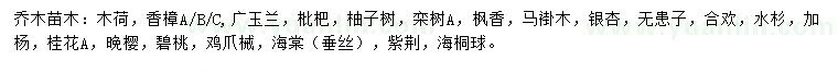 求購木荷、香樟、廣玉蘭等