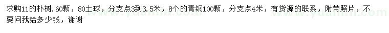 求購11公分樸樹、青桐