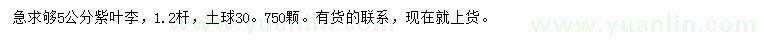 求購5公分紫葉李
