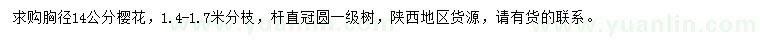 求購胸徑14公分櫻花