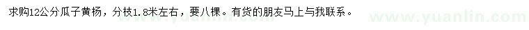 求購12公分瓜子黃楊