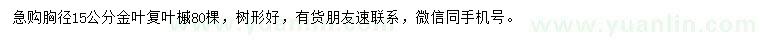 求購(gòu)胸徑15公分金葉復(fù)葉槭