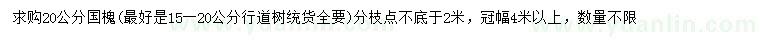 求購(gòu)20公分國(guó)槐
