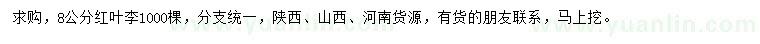 求購8公分紅葉李