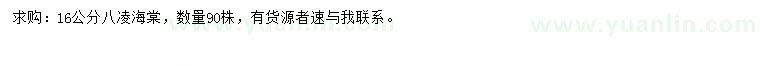 求購16公分八凌海棠