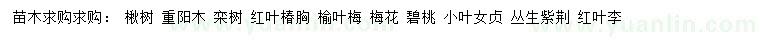 求購楸樹、重陽木、欒樹等