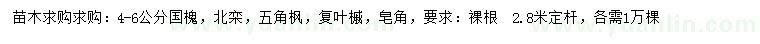求購(gòu)國(guó)槐、北欒、五角楓等
