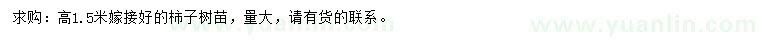 求購1.5米柿子樹苗