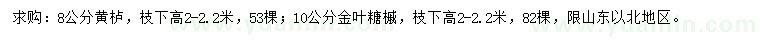 求購8公分黃櫨、10公分金葉糖槭