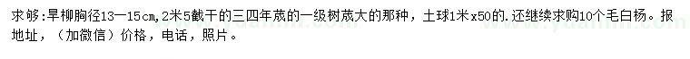 求購胸徑13-15公分旱柳、10公分毛白楊