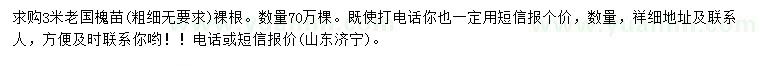 求購3米老國槐苗