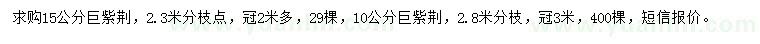 求購(gòu)10、15公分巨紫荊