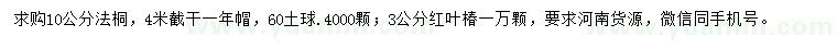 求購10公分法桐、3公分紅葉椿
