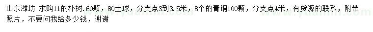 求購(gòu)11公分樸樹(shù)、8公分青銅