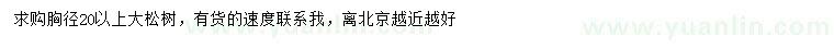 求購胸徑20公分以上大松樹