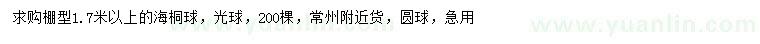 求購1.7米以上海桐球
