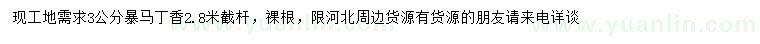 求購3公分暴馬丁香