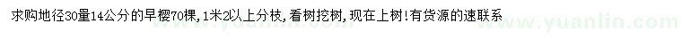 求購(gòu)地徑30量14公分早櫻