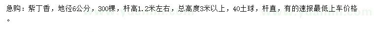 求購地徑6公分紫丁香