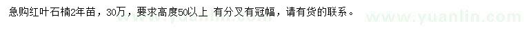 求購(gòu)高50公分以上紅葉石楠