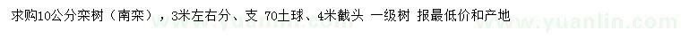 求購10公分欒樹（南欒）