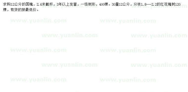 求購(gòu)30量12公分國(guó)槐、黃紅花槐
