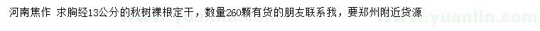 求購胸徑13公分秋樹