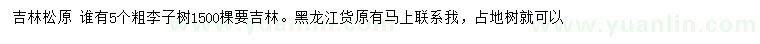 求購5公分李子樹
