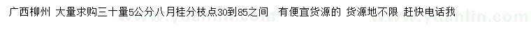 求購30量5公分八月桂