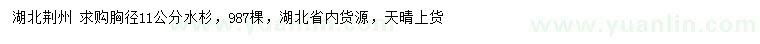 求購胸徑11公分水杉