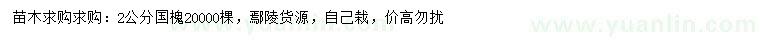求購2公分國槐
