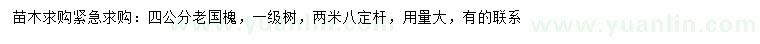 求購4公分老國槐