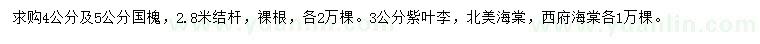 求購國槐、紫葉李、北美海棠
