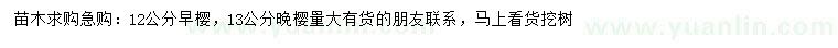求購12公分早櫻、13公分晚櫻