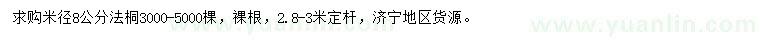 求購米徑8公分法桐