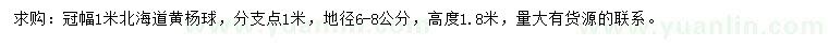 求購冠幅1米北海道黃楊球