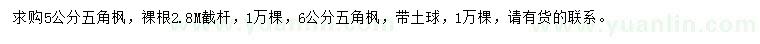 求購5、6公分五角楓